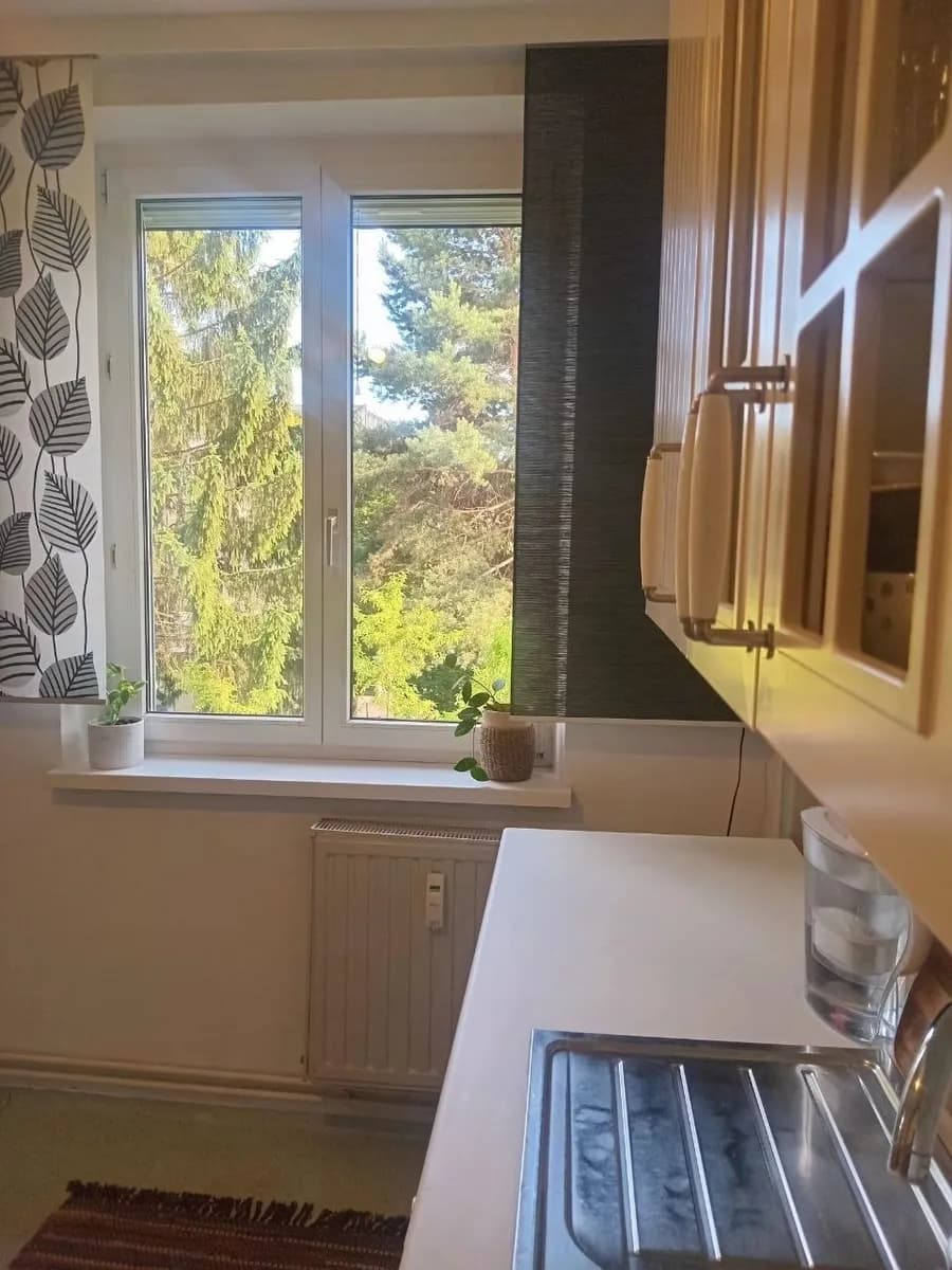 3-Zimmer-Wohnung kaufen in Südoststeiermark – 60 m², € 118.000 – Bild 6 von 19