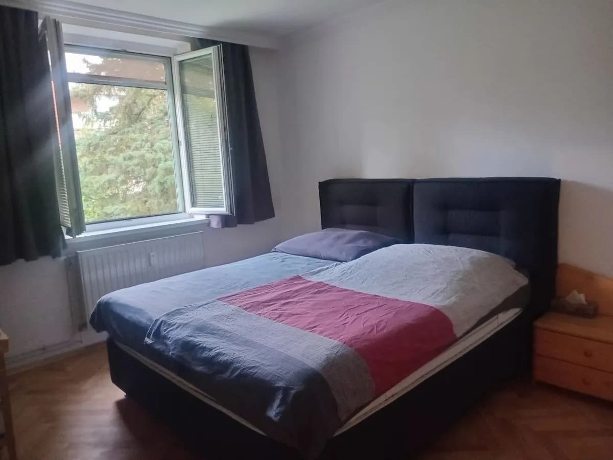 3-Zimmer-Wohnung kaufen in Südoststeiermark – 60 m², € 118.000 – Bild 11 von 19