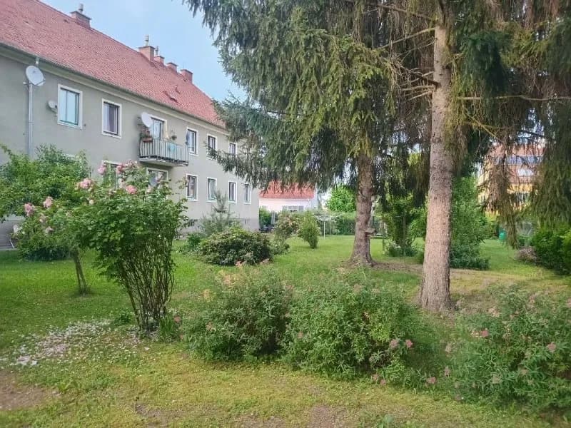 3-Zimmer-Wohnung kaufen in Südoststeiermark – 60 m², € 118.000 – Bild 16 von 19