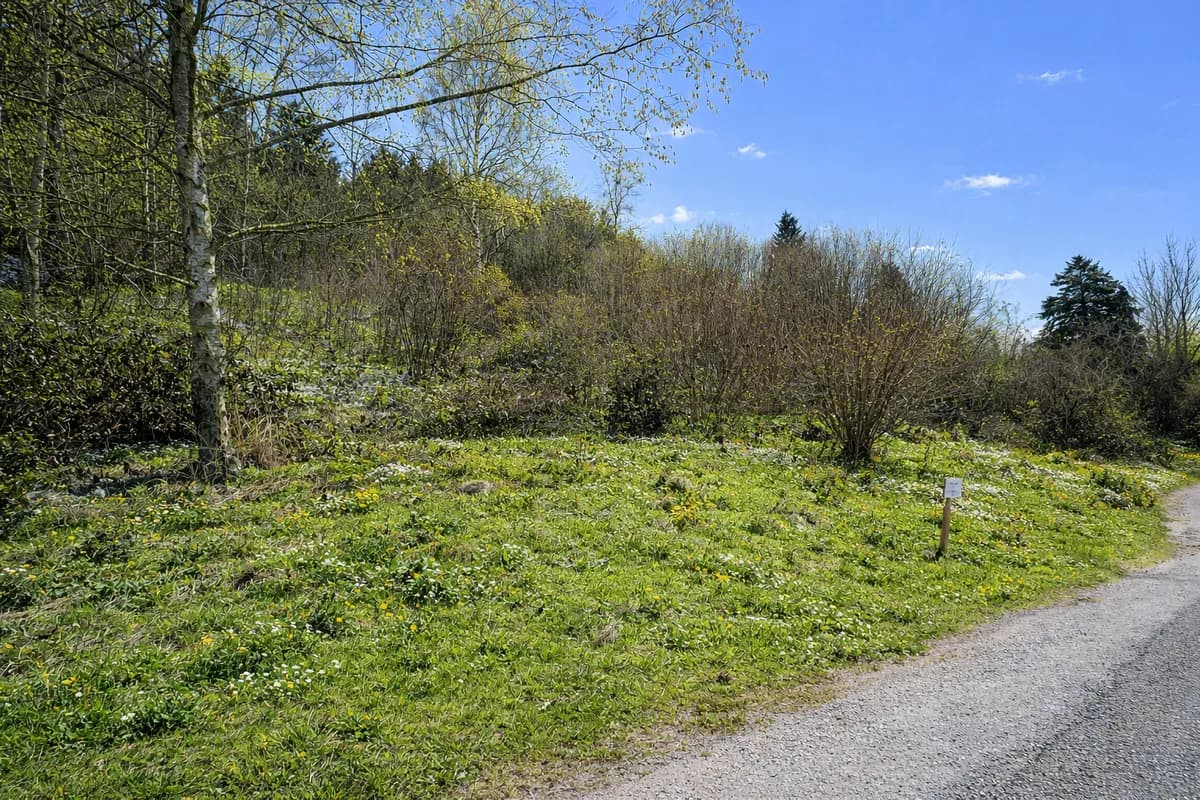 Grundstück kaufen in Wiener Neustadt Land – 1 267 m², € 69.000