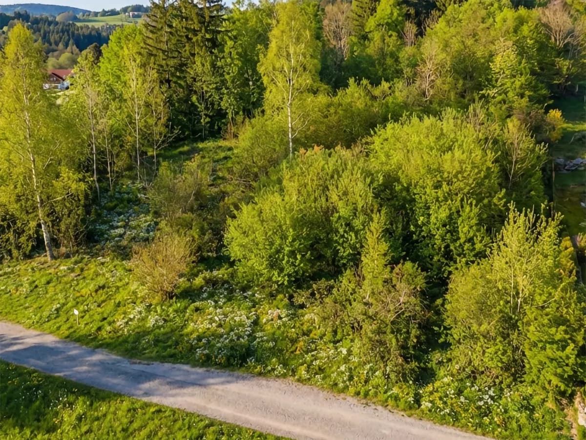 Grundstück kaufen in Wiener Neustadt Land – 1 267 m², € 69.000 – Bild 2 von 5