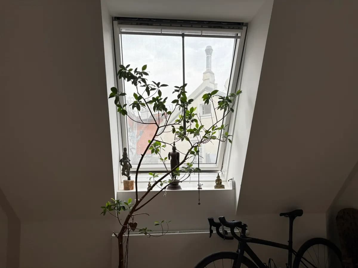2-Zimmer-Wohnung mieten in Wien – 48 m², € 1.475 – Bild 4 von 7