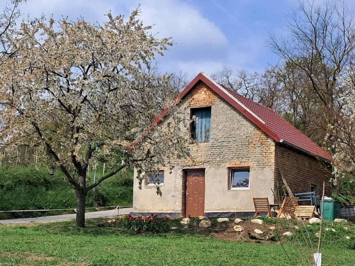 2-Zimmer-Immobilie kaufen in Mistelbach – 55 m², € 72.000 – Bild 2 von 9