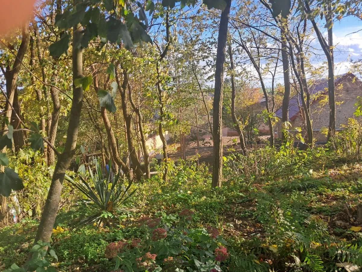 2-Zimmer-Immobilie kaufen in Mistelbach – 55 m², € 72.000 – Bild 7 von 9