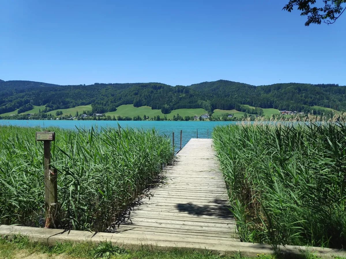 4-Zimmer-Wohnung kaufen in Vöcklabruck – 115 m², € 799.000 – Bild 7 von 34