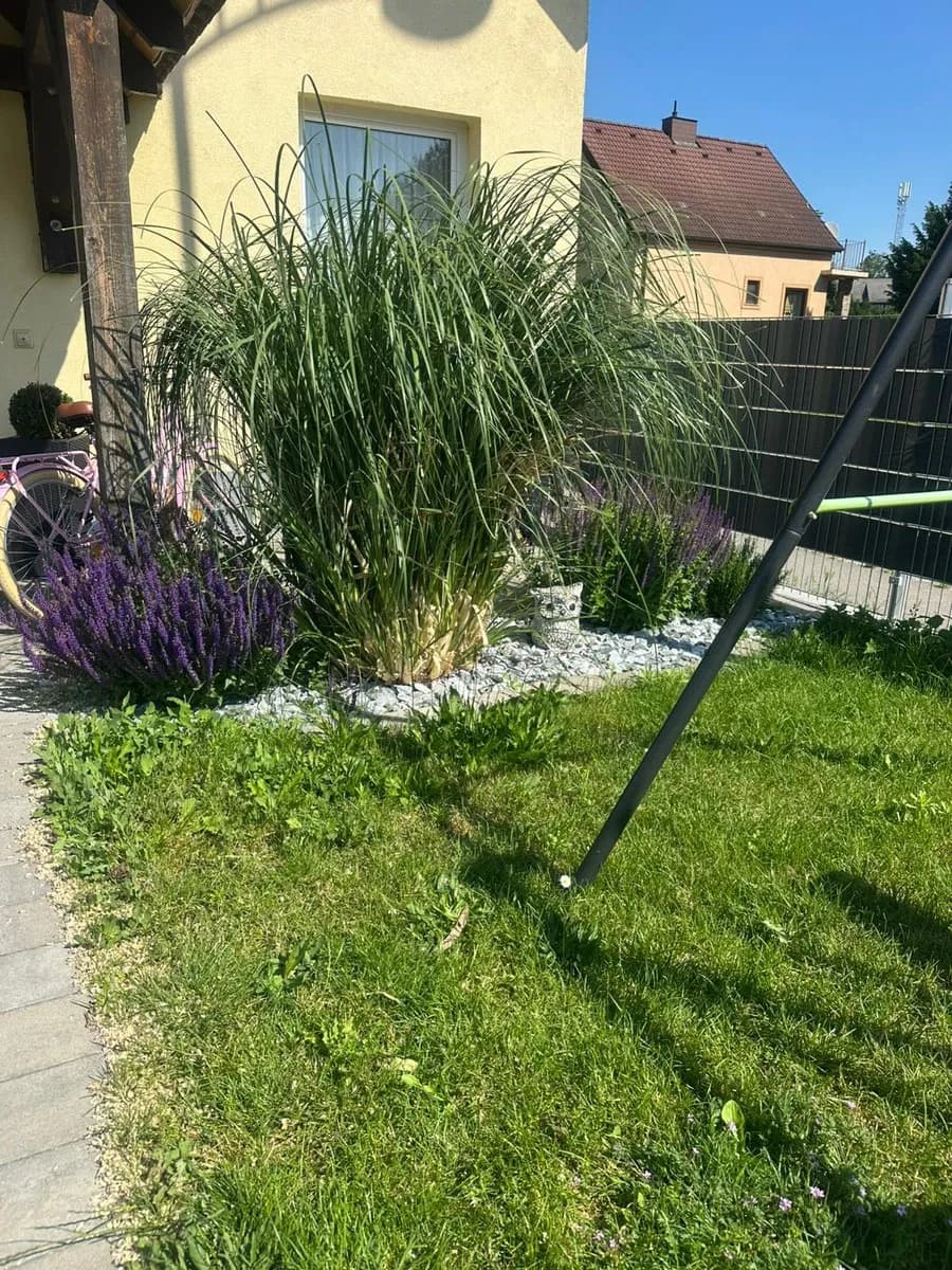 4-Zimmer-Haus kaufen in Gänserndorf – 176 m², € 380.000 – Bild 2 von 24