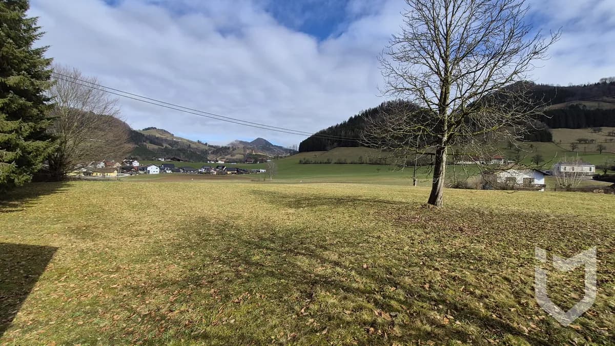 Gewerbeimmobilie mieten in Steyr-Land – Bild 11 von 21