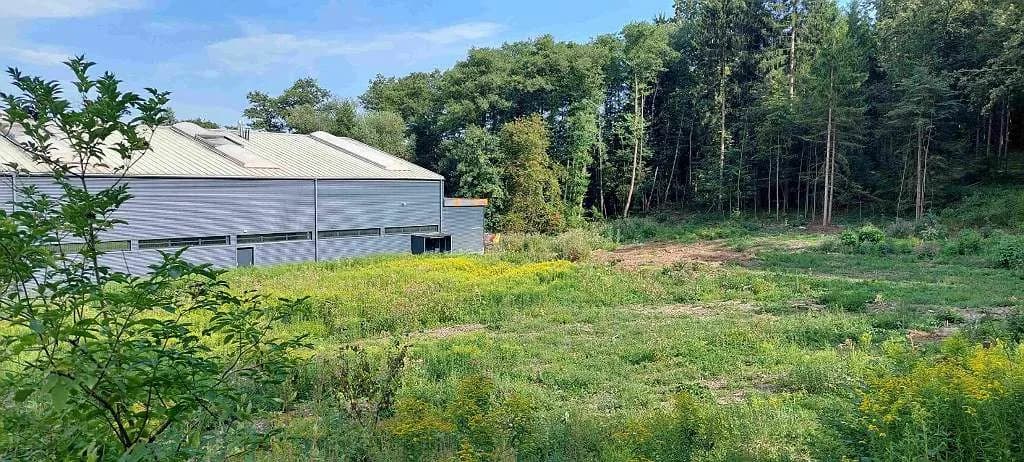 Immobilie mieten in Oberwart – 4 531 m², € 1.800