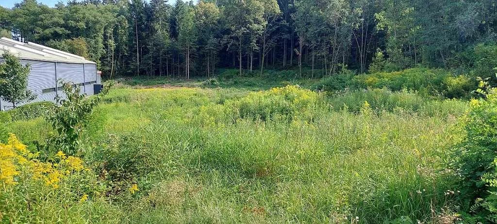 Immobilie mieten in Oberwart – 4 531 m², € 1.800 – Bild 4 von 5