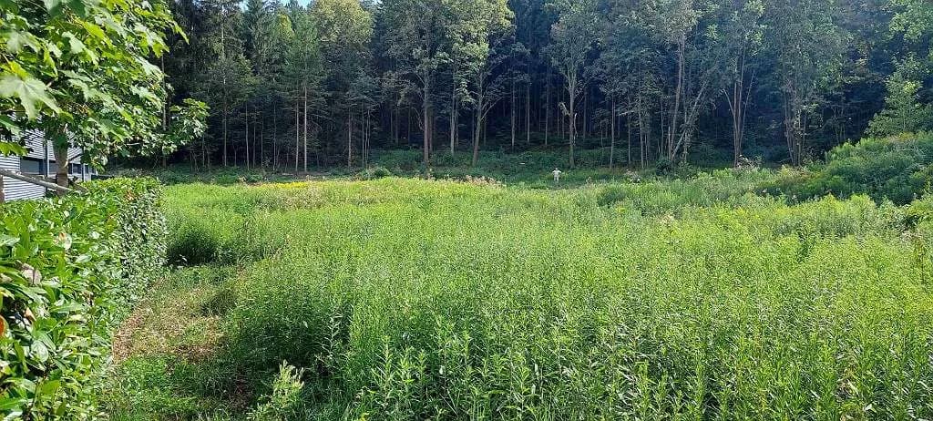 Immobilie mieten in Oberwart – 4 531 m², € 1.800 – Bild 5 von 5