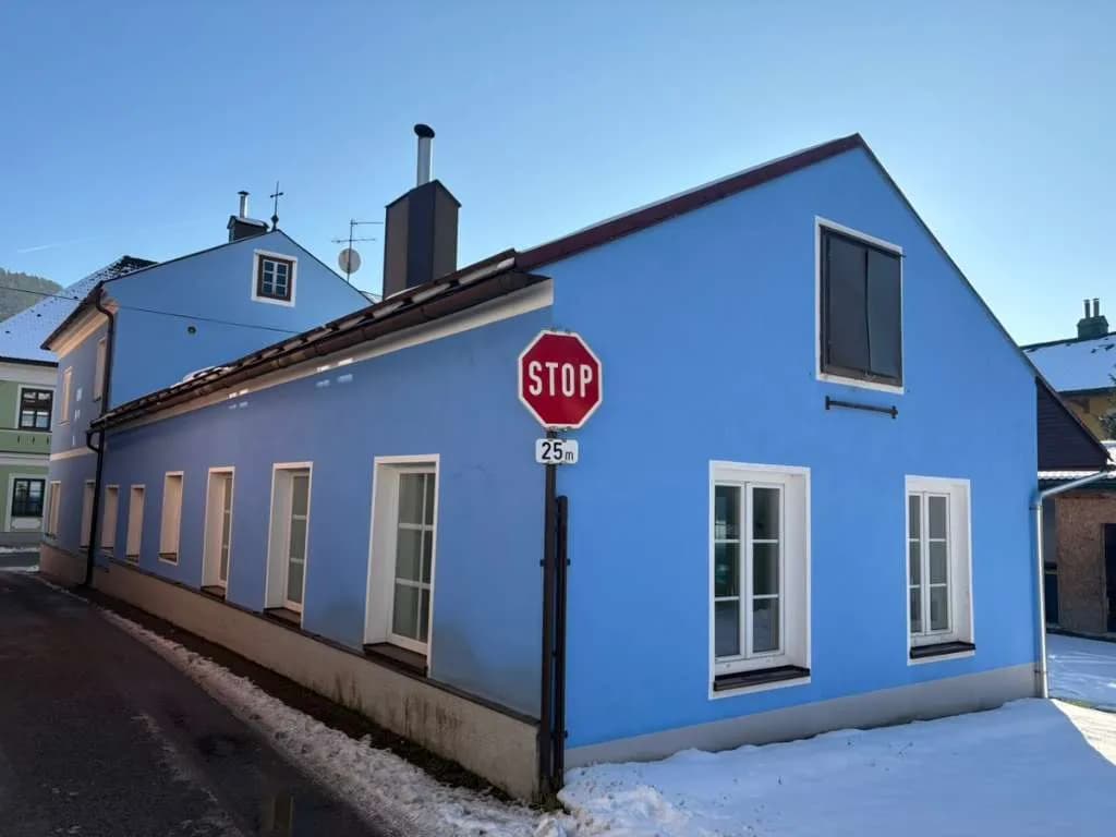 10-Zimmer-Gewerbeimmobilie kaufen in Lilienfeld – 360 m², € 490.000 – Bild 3 von 39