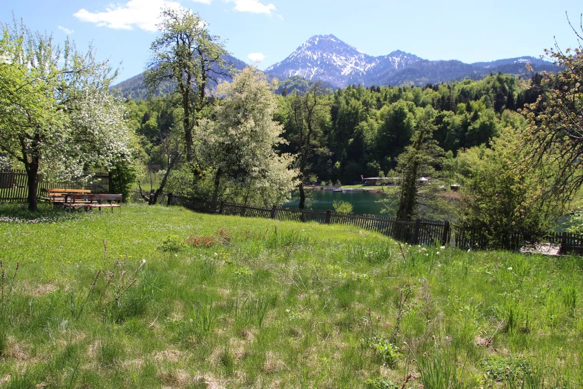 Grundstück kaufen in Villach Land – 1 600 m², € 550.000 – Bild 3 von 4