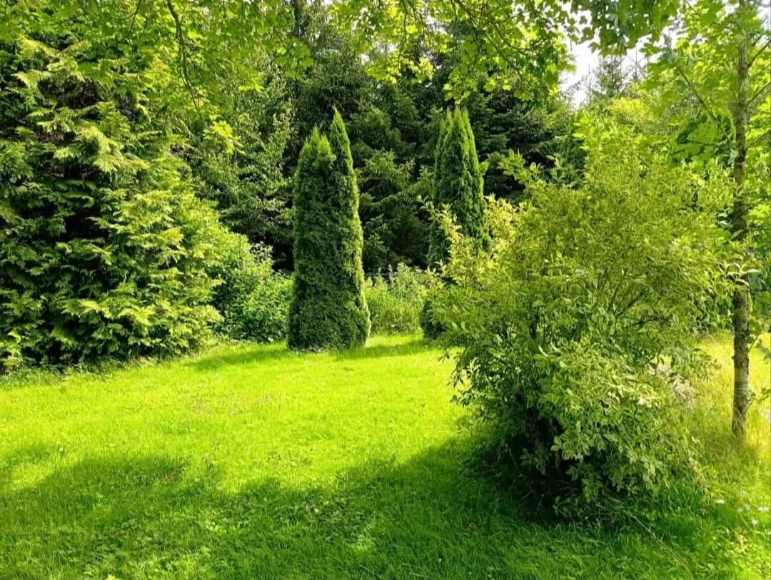4-Zimmer-Haus mieten in Rohrbach – 170 m², € 1.290 – Bild 5 von 34