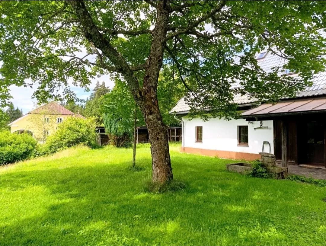 4-Zimmer-Haus mieten in Rohrbach – 170 m², € 1.290 – Bild 6 von 34
