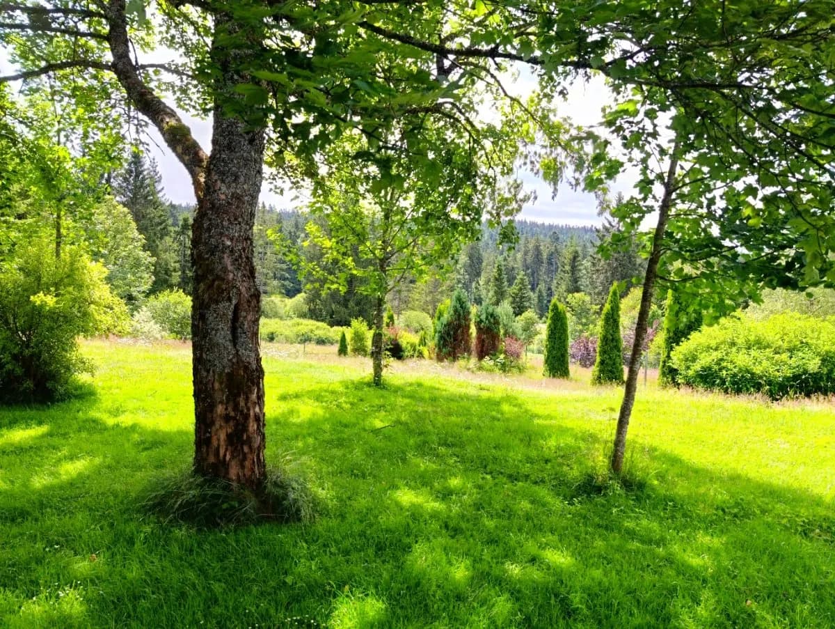 4-Zimmer-Haus mieten in Rohrbach – 170 m², € 1.290 – Bild 24 von 34
