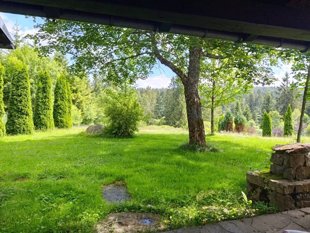 4-Zimmer-Haus mieten in Rohrbach – 170 m², € 1.290 – Bild 26 von 34