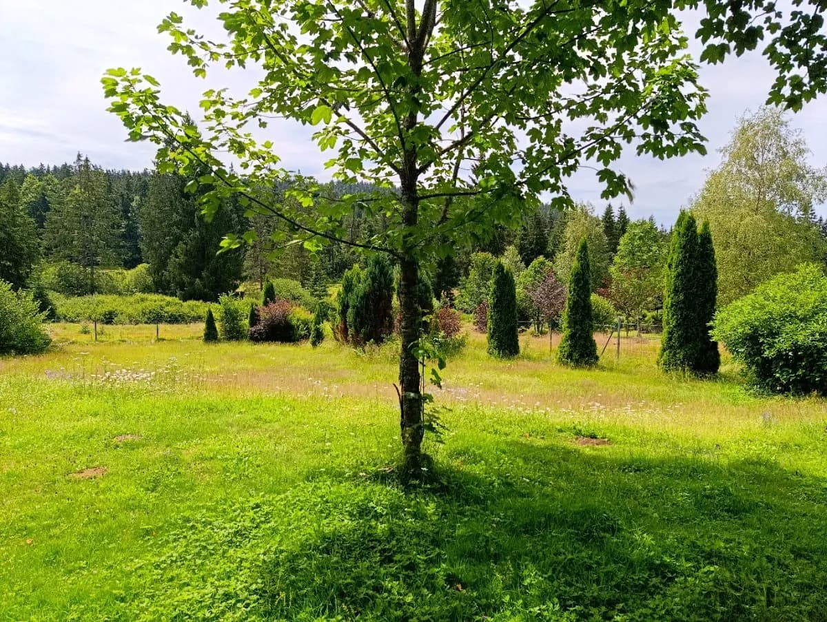 4-Zimmer-Haus mieten in Rohrbach – 170 m², € 1.290 – Bild 29 von 34