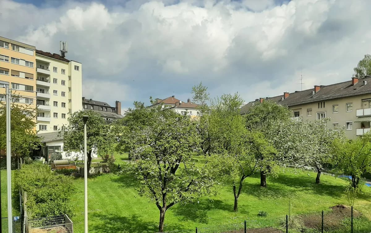 2-Zimmer-Wohnung mieten in Linz – 45 m², € 725 – Bild 4 von 7