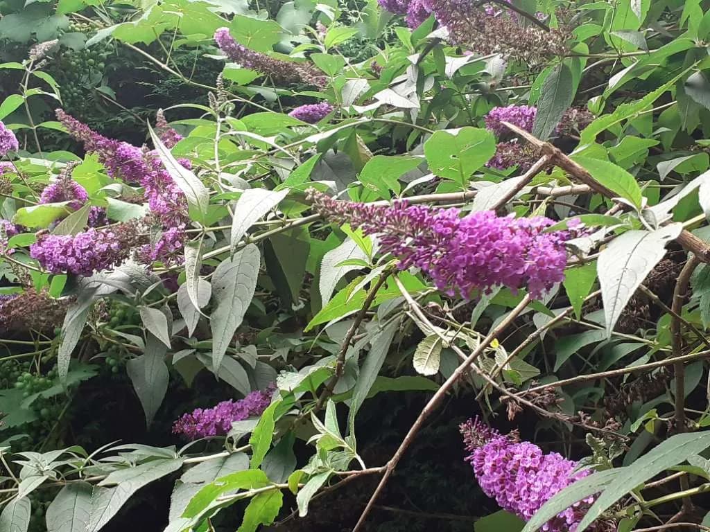 Grundstück kaufen in Wels-Land – 777 m², € 219.000 – Bild 7 von 32