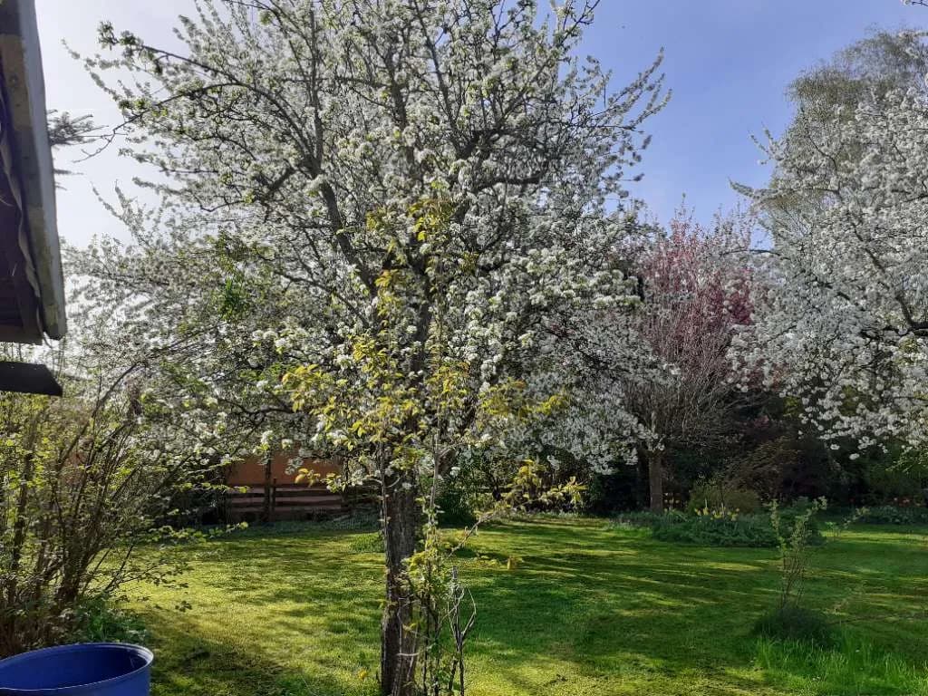 Grundstück kaufen in Wels-Land – 777 m², € 219.000 – Bild 19 von 32