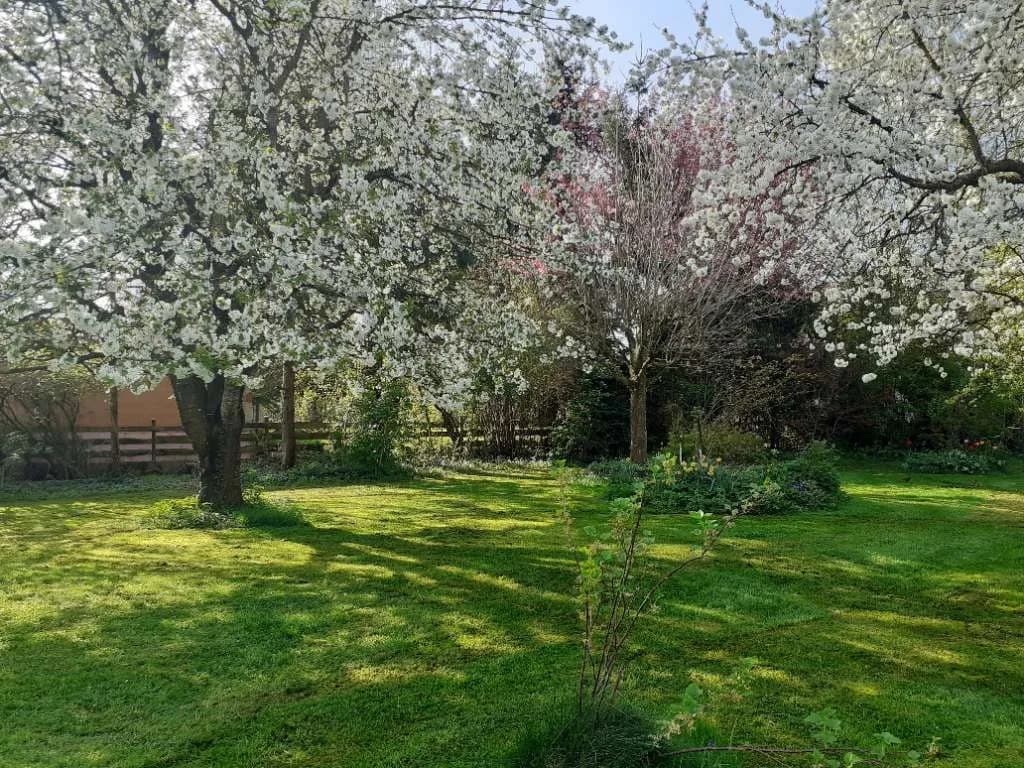 Grundstück kaufen in Wels-Land – 777 m², € 219.000 – Bild 20 von 32