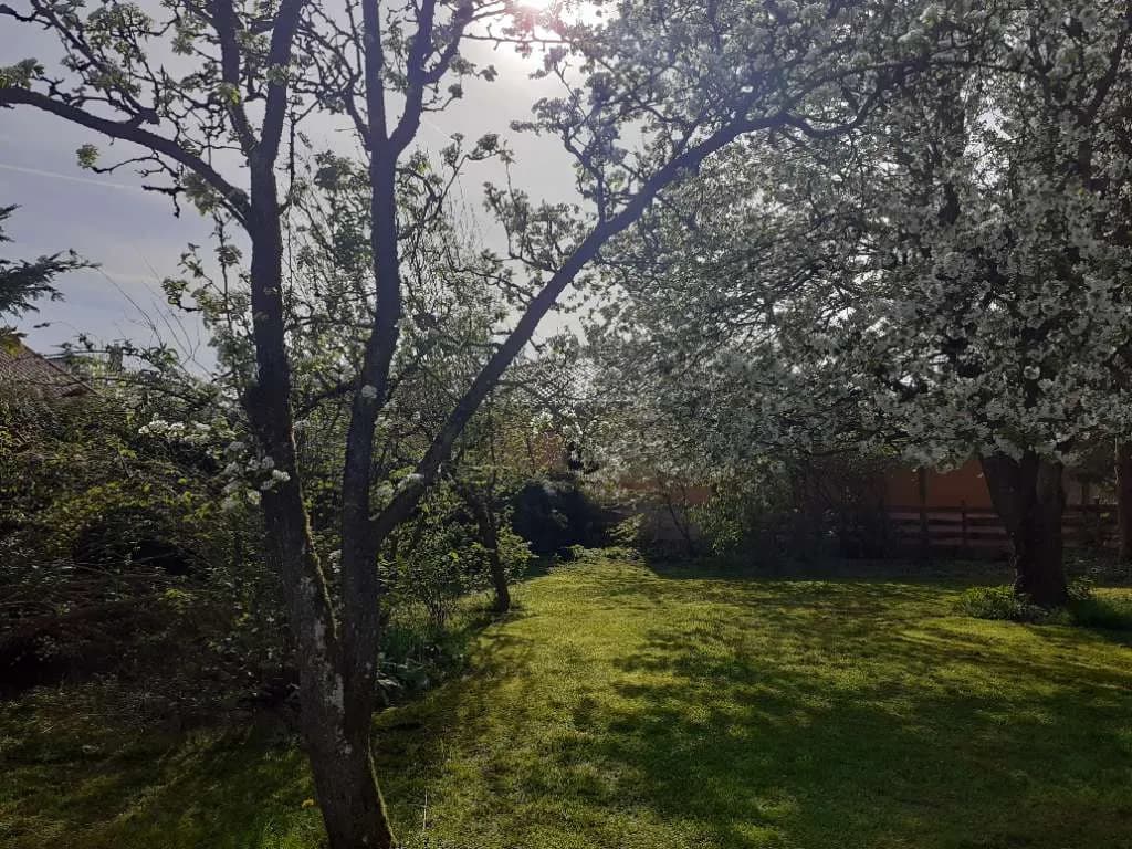 Grundstück kaufen in Wels-Land – 777 m², € 219.000 – Bild 22 von 32