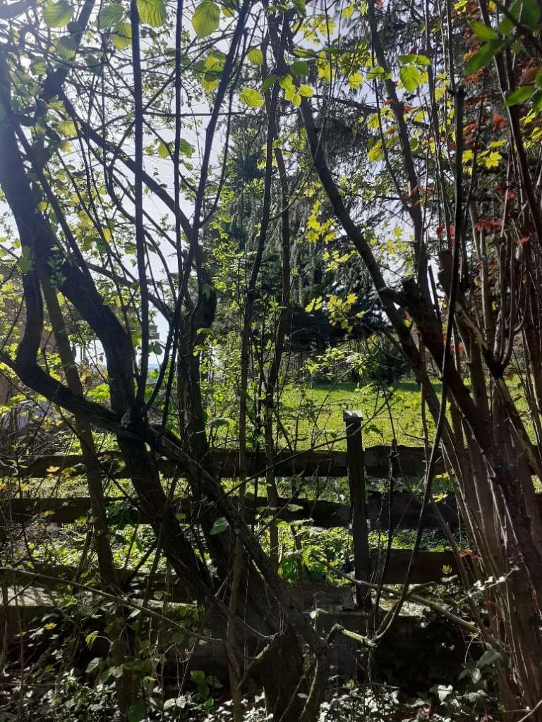 Grundstück kaufen in Wels-Land – 777 m², € 219.000 – Bild 23 von 32