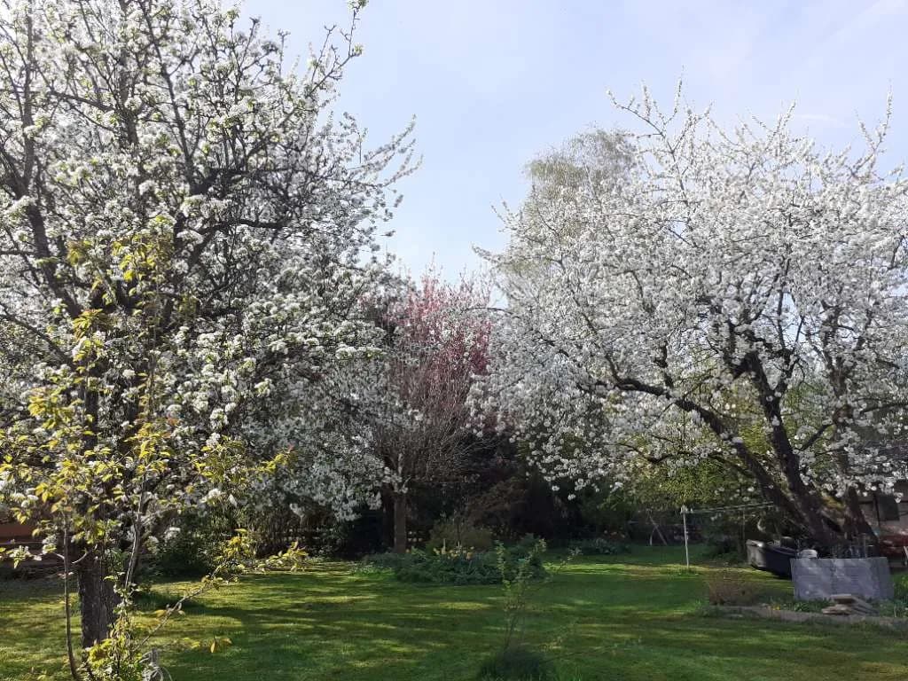 Grundstück kaufen in Wels-Land – 777 m², € 219.000 – Bild 24 von 32