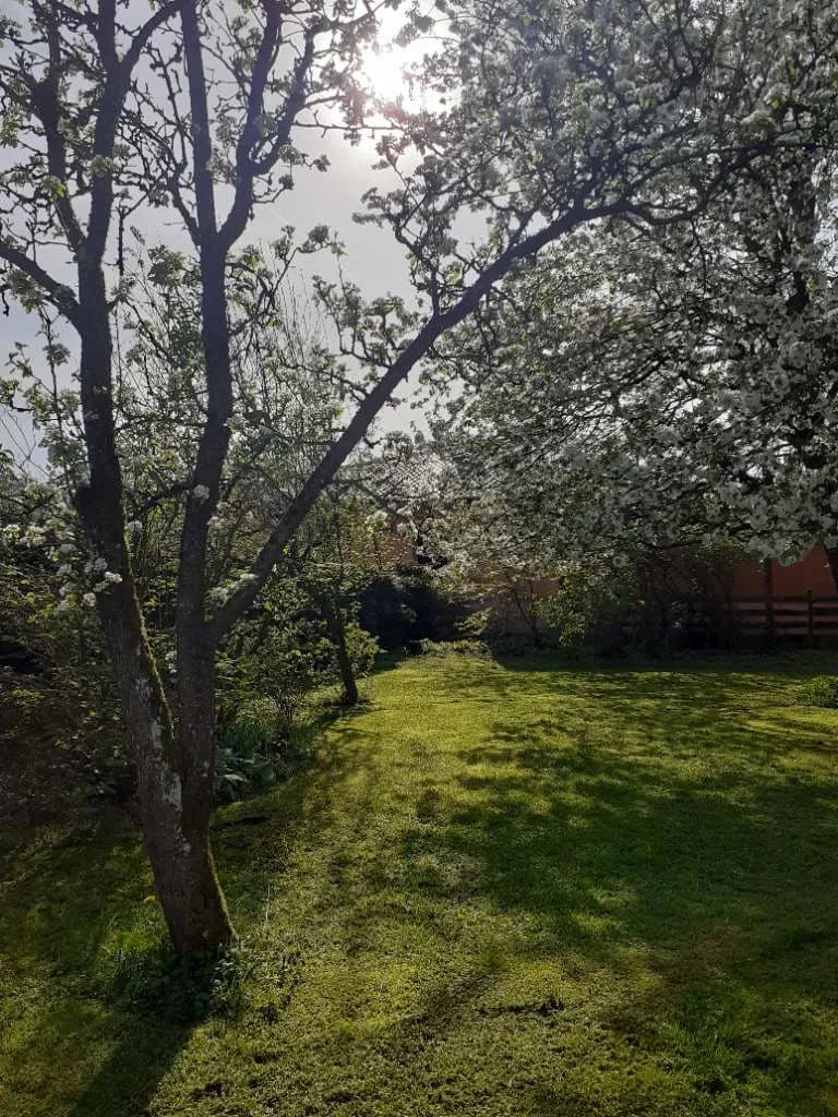 Grundstück kaufen in Wels-Land – 777 m², € 219.000 – Bild 25 von 32