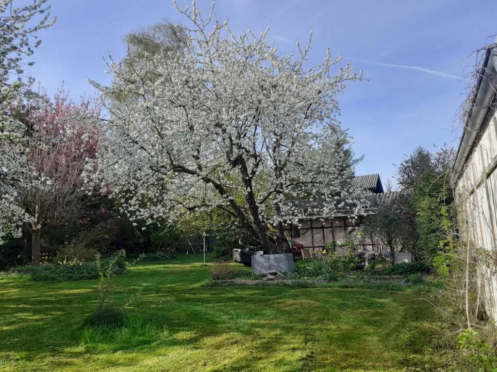 Grundstück kaufen in Wels-Land – 777 m², € 219.000 – Bild 26 von 32