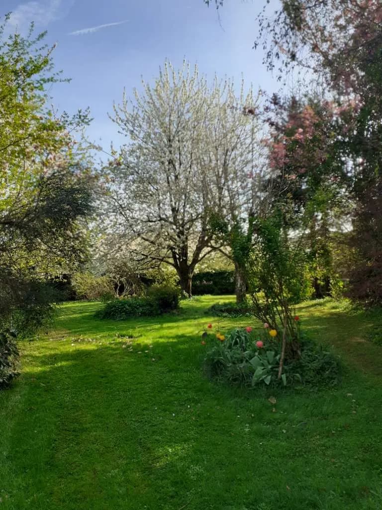 Grundstück kaufen in Wels-Land – 777 m², € 219.000 – Bild 27 von 32