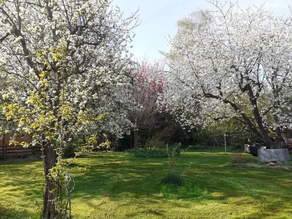 Grundstück kaufen in Wels-Land – 777 m², € 219.000 – Bild 32 von 32