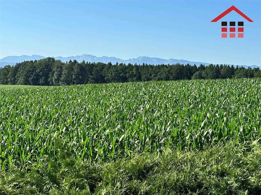 4-Zimmer-Haus mieten in Vöcklabruck – 130 m², € 1.500 – Bild 8 von 8