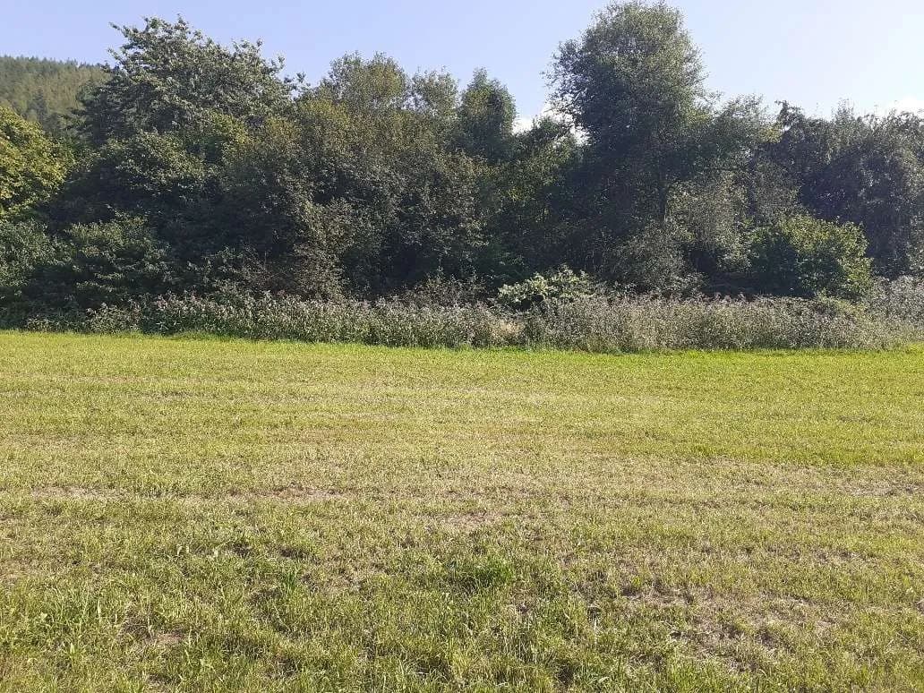 Grundstück kaufen in Bruck-Mürzzuschlag – 688 m², € 68.800