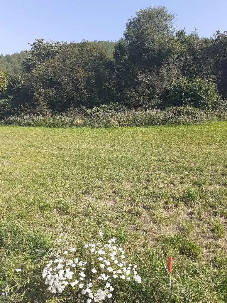 Grundstück kaufen in Bruck-Mürzzuschlag – 688 m², € 68.800 – Bild 2 von 5