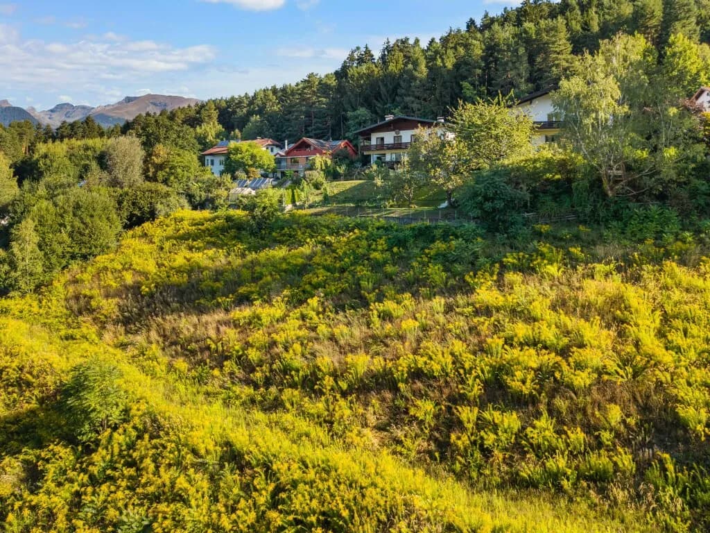 Immobilie kaufen in Spittal an der Drau – 7 000 m², € 2.299.000 – Bild 5 von 10