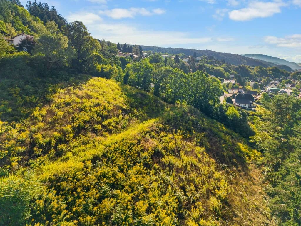 Immobilie kaufen in Spittal an der Drau – 7 000 m², € 2.299.000 – Bild 6 von 10
