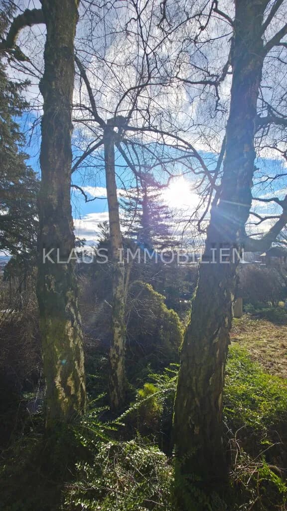 4-Zimmer-Haus kaufen in Wien – 79 m² – Bild 15 von 17