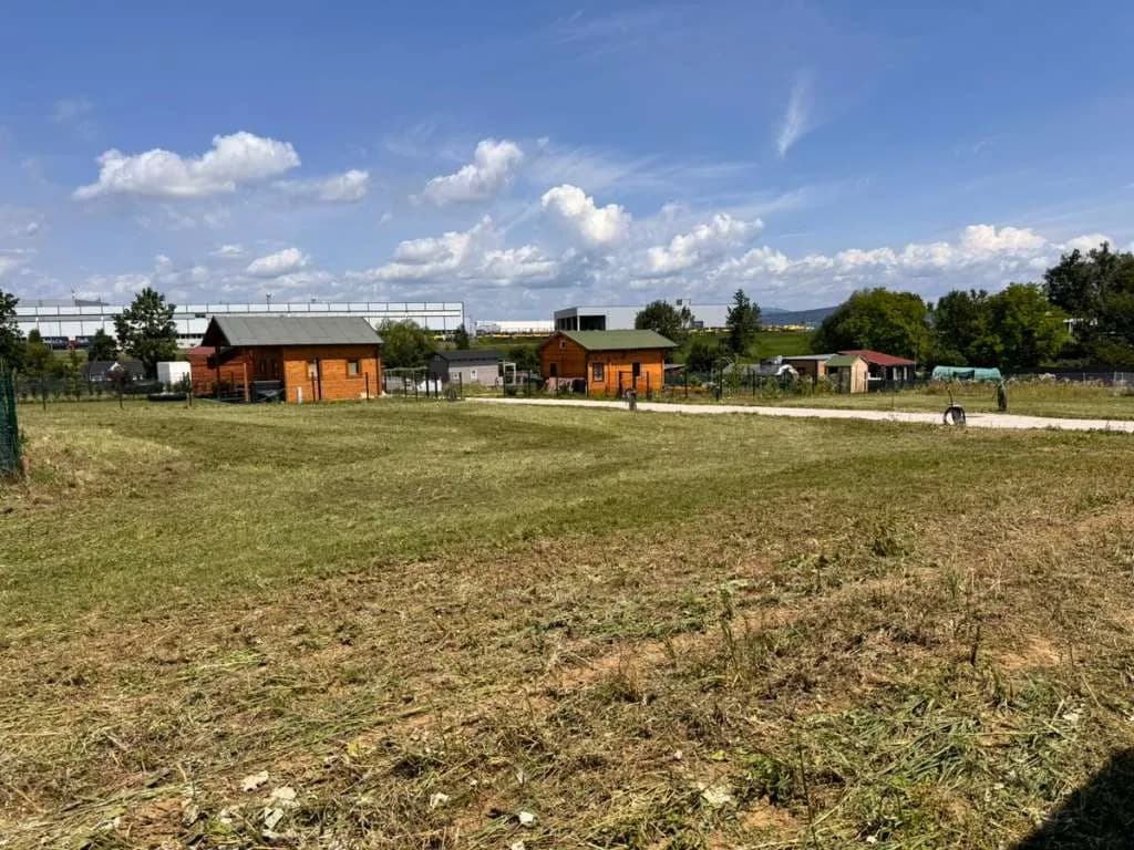 Immobilie mieten in Linz Land – 240 m², € 130 – Bild 4 von 34