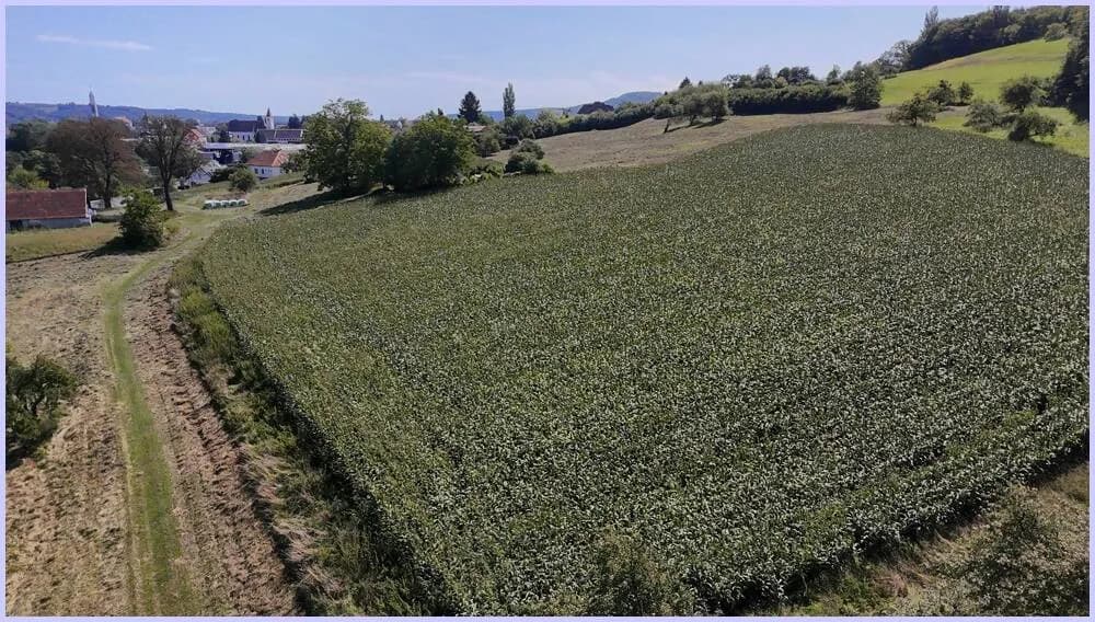 Grundstück kaufen in Südoststeiermark – 3 000 m², € 100