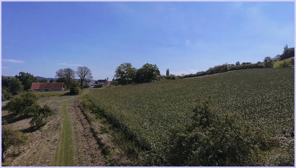 Grundstück kaufen in Südoststeiermark – 3 000 m², € 100 – Bild 3 von 6