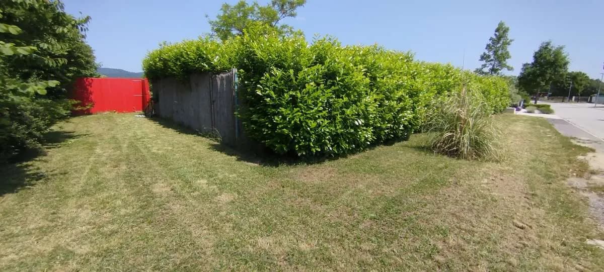 Grundstück kaufen in Eisenstadt - Umgebung – 2 879 m², € 580.000 – Bild 4 von 6