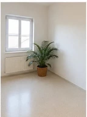 5-Zimmer-Gewerbeimmobilie mieten in Bregenz – 150 m², € 1.700 – Bild 8 von 8