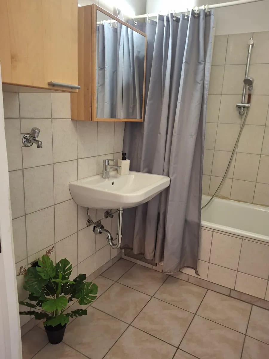 Wohnung mieten in Wels – 46 m², € 690 – Bild 4 von 6