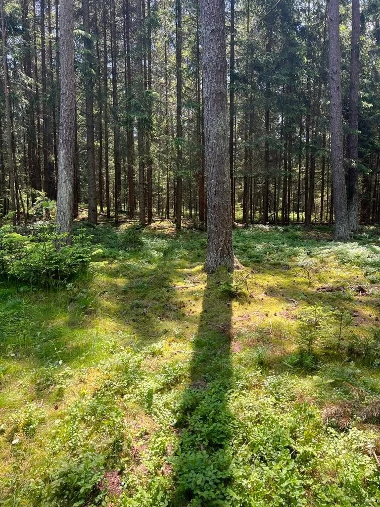 2-Zimmer-Immobilie kaufen in Gmünd – 50 m², € 69.000 – Bild 5 von 5