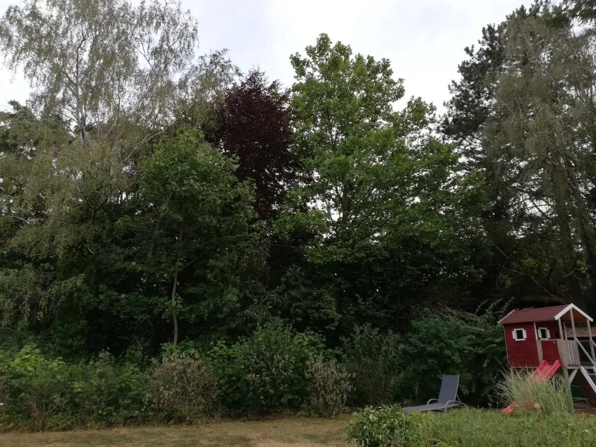 4-Zimmer-Haus kaufen in Mistelbach – 90 m², € 300.000 – Bild 2 von 15