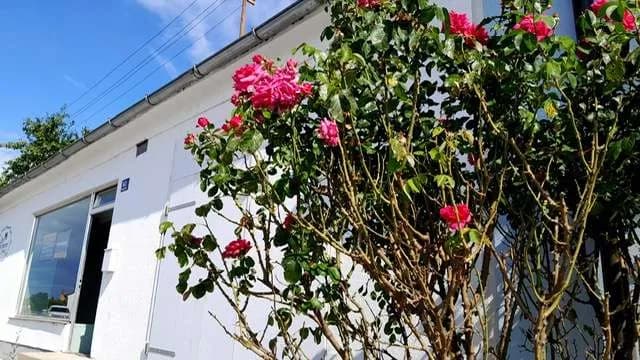 3-Zimmer-Immobilie kaufen in Gänserndorf – 110 m², € 249.000 – Bild 11 von 14