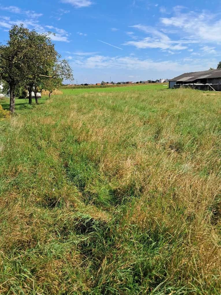 Grundstück kaufen in Linz Land – 2 283 m², € 319.000