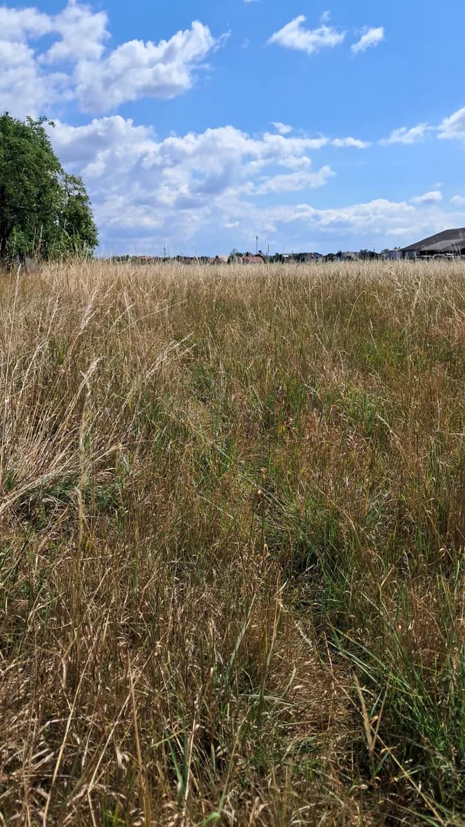 Grundstück kaufen in Amstetten – 2 283 m², € 319.000 – Bild 4 von 7