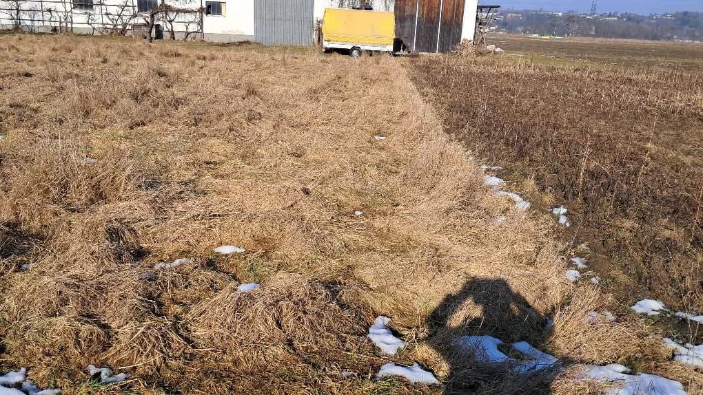 Grundstück kaufen in Amstetten – 2 283 m², € 319.000 – Bild 7 von 7